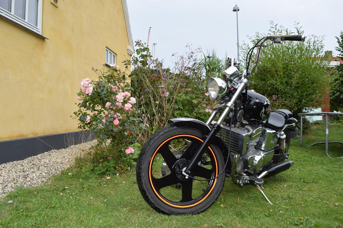 Regal Raptor DD250E-9 billede 3