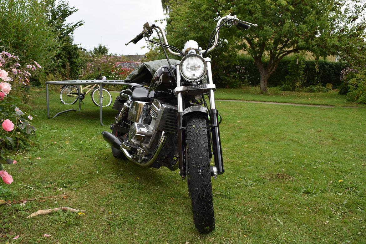 Regal Raptor DD250E-9 billede 4