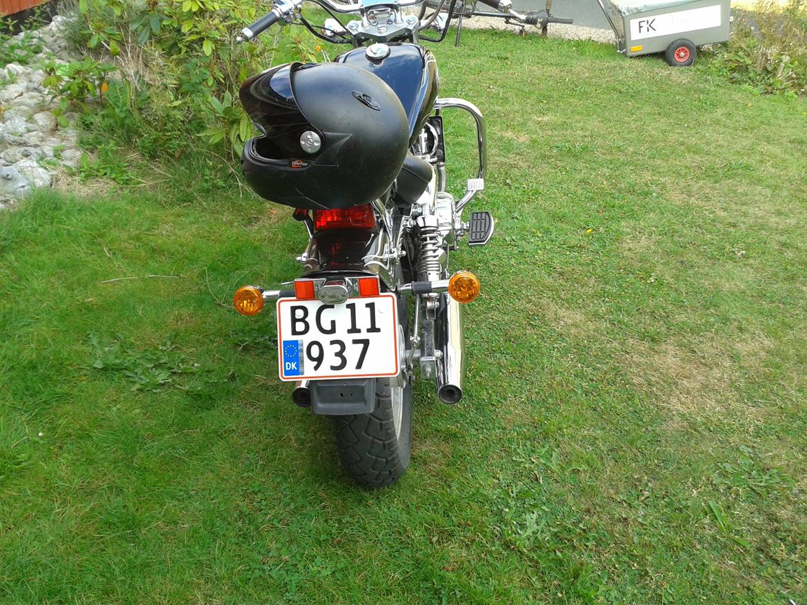 Regal Raptor DD250E-9 - altertavle, men skal være sikker på at blive set. billede 7