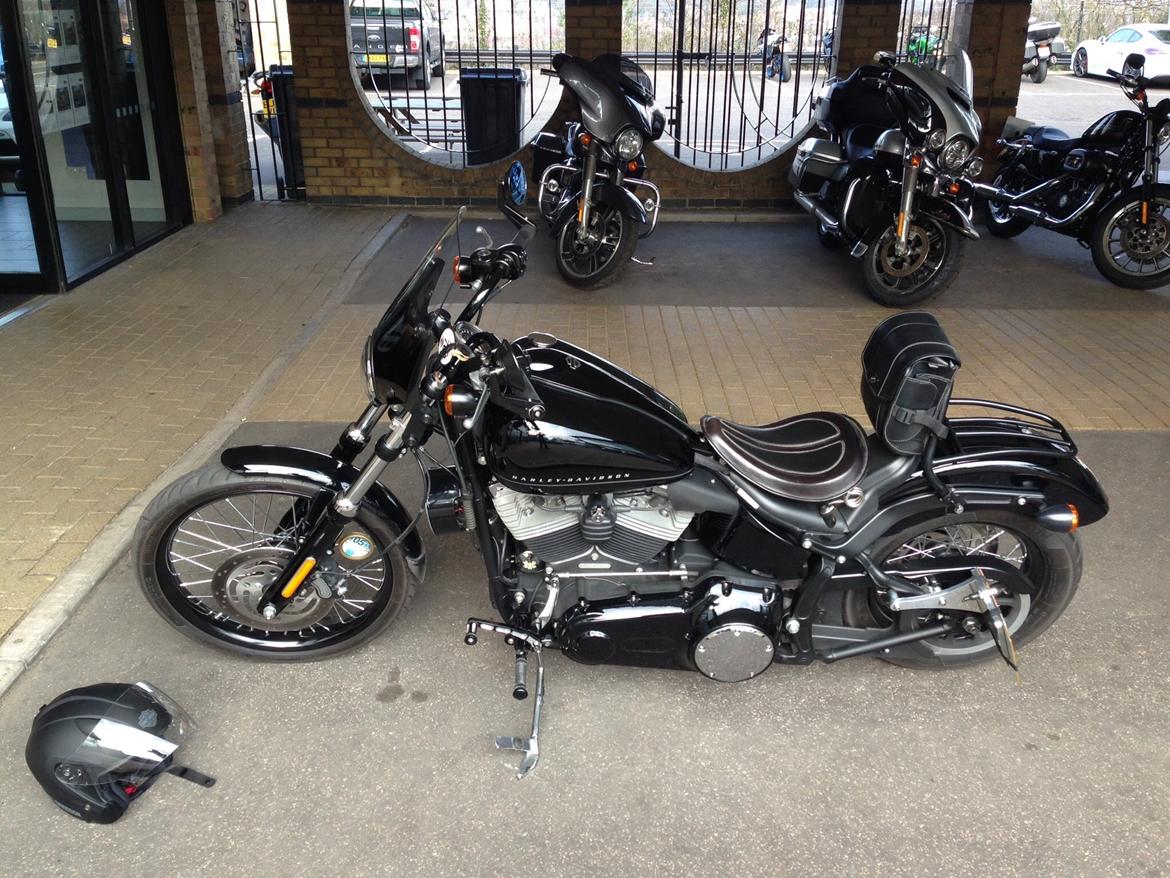 Harley Davidson FXS Blackline billede 2