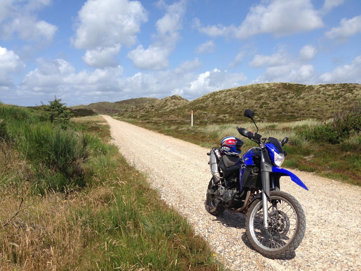 Yamaha XT 660 R billede 5