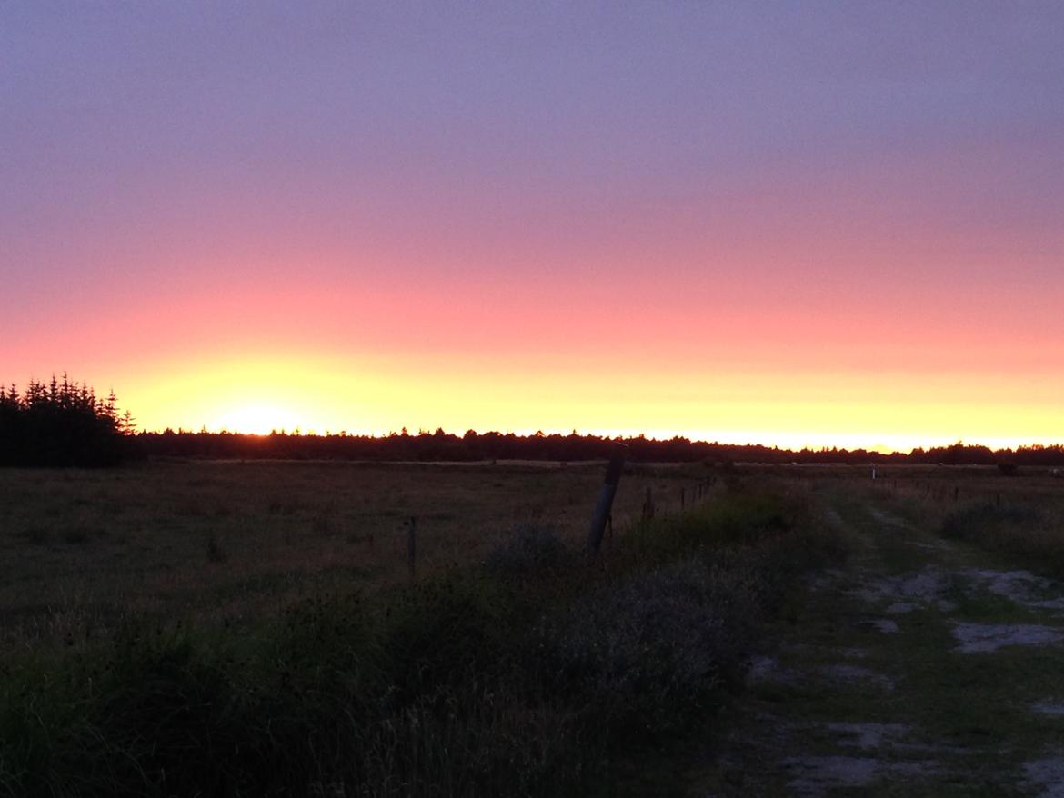 Yamaha XT 660 R billede 8