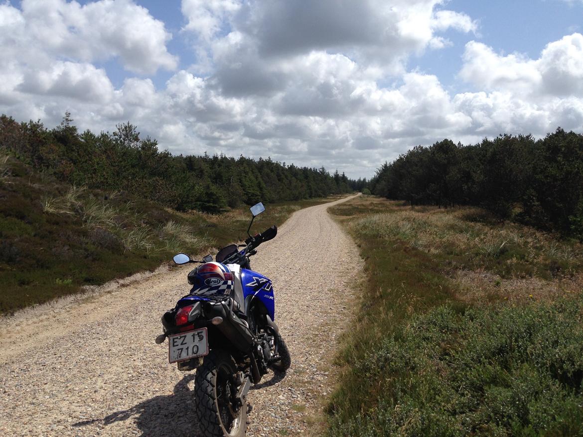 Yamaha XT 660 R billede 6