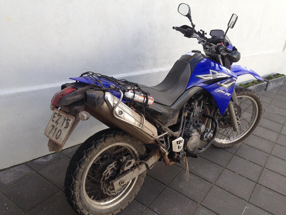 Yamaha XT 660 R billede 1