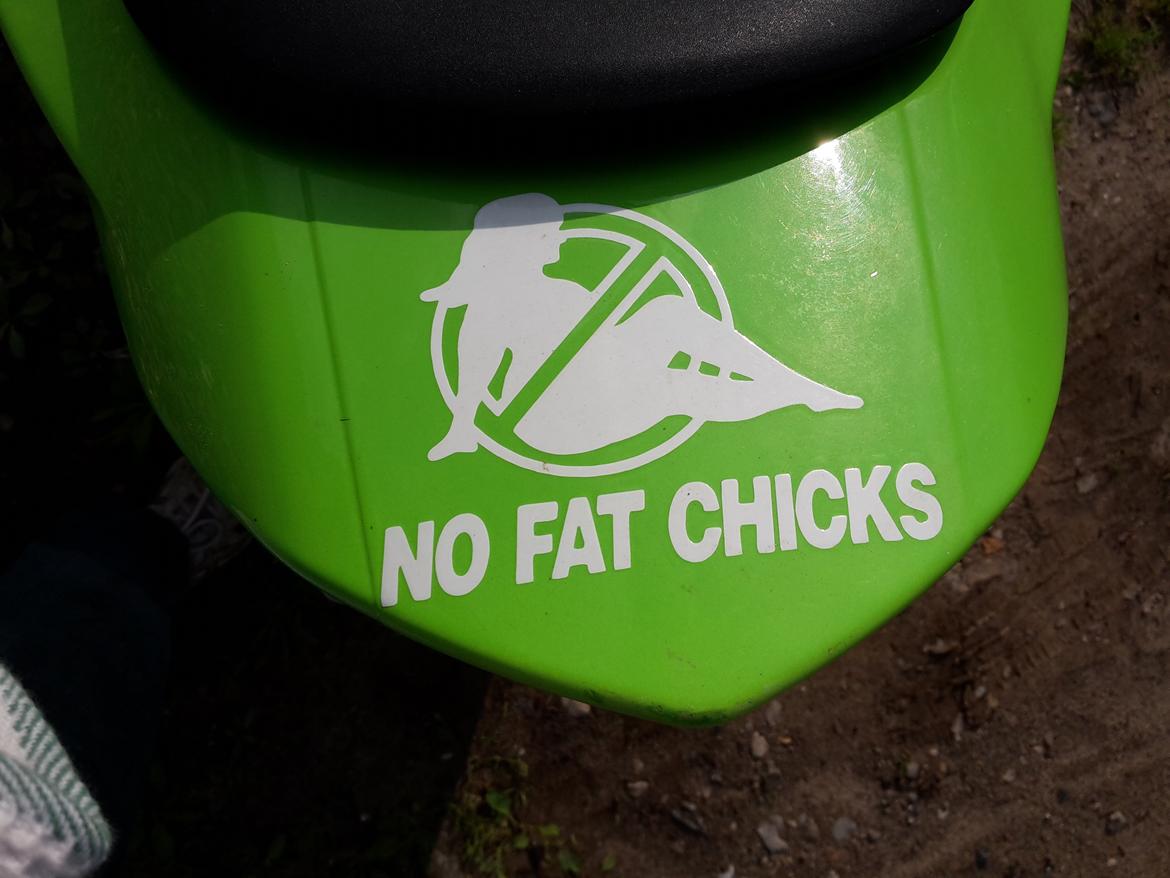 Honda CBR 900 RR Fighter <--- Solgt billede 9