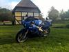 Honda cbr rr firerblade 