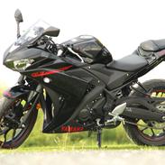 Yamaha YZF-R3 Raven