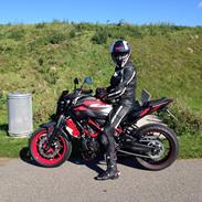 Yamaha MT 07 Moto Cage