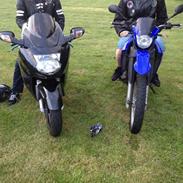Honda CBR 1100xx super blackbird