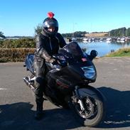 Honda CBR 1100xx super blackbird