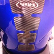 Yamaha Yzf600r Thundercat