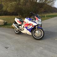 Honda CBR 900 RR Fireblade SC 28