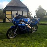 Honda cbr rr firerblade 