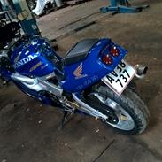 Honda cbr rr firerblade 