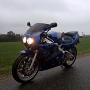 Honda cbr rr firerblade 