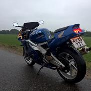 Honda cbr rr firerblade 