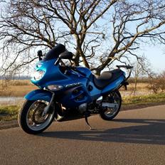 Suzuki GSX 600 f