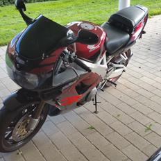 Honda CBR900rr Fireblade 