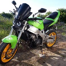 Honda CBR 900 RR Fighter <--- Solgt