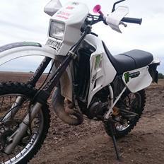 Yamaha Dt 125 r 