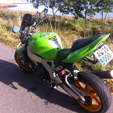 Honda Cbr 900 fireblade