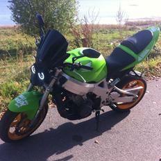 Honda Cbr 900 fireblade