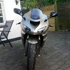 Kawasaki Zx10r 