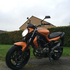 Suzuki SFV 650 Gladius