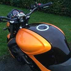 Suzuki SFV 650 Gladius