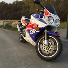 Honda CBR 900 RR Fireblade SC 28