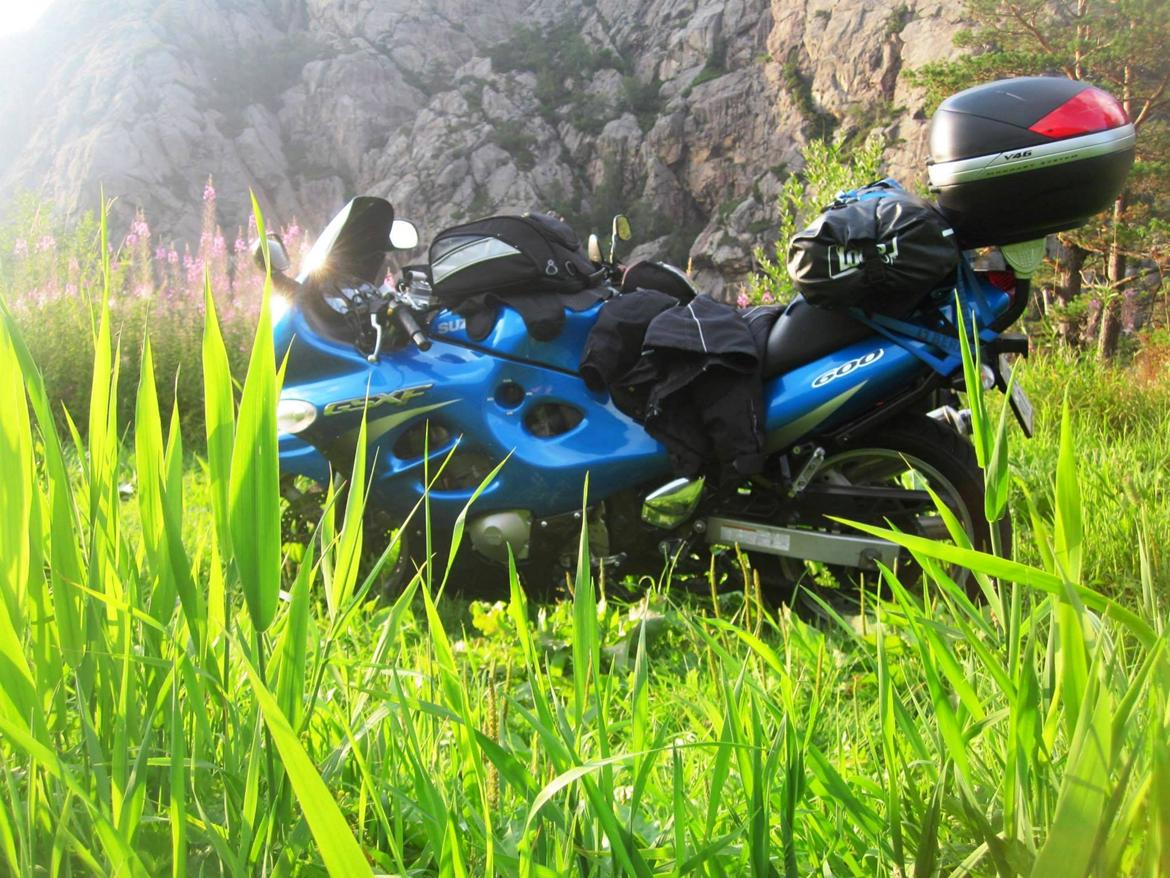 Suzuki GSX 600 f billede 12