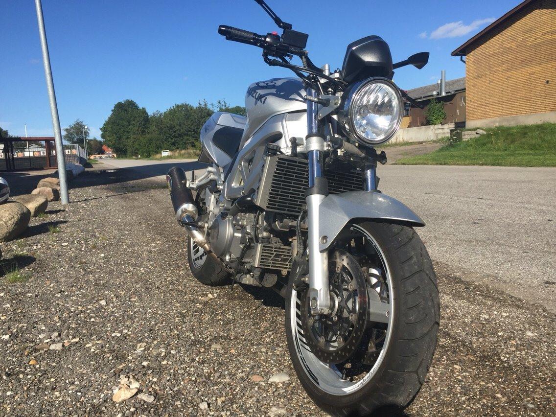 Suzuki SV1000 N billede 14