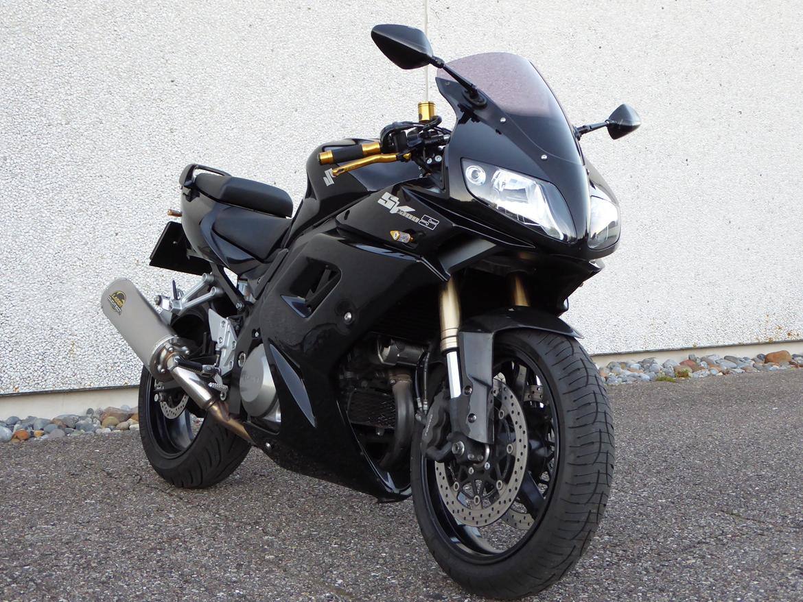 Suzuki SV1000 billede 5