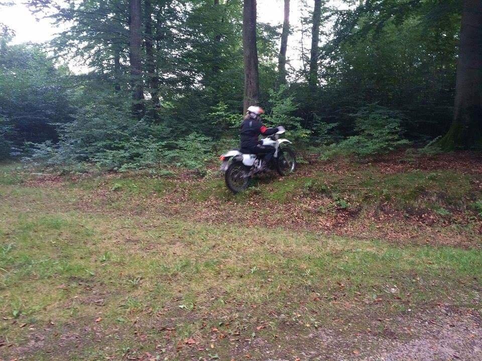 Yamaha Dt 125 r  billede 6