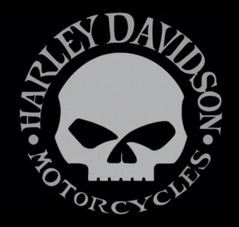 Harley Davidson H-D VRSCF V-ROD MUSCLE billede 15