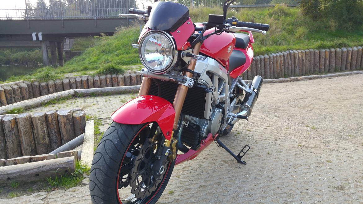 Suzuki SV 1000 billede 10