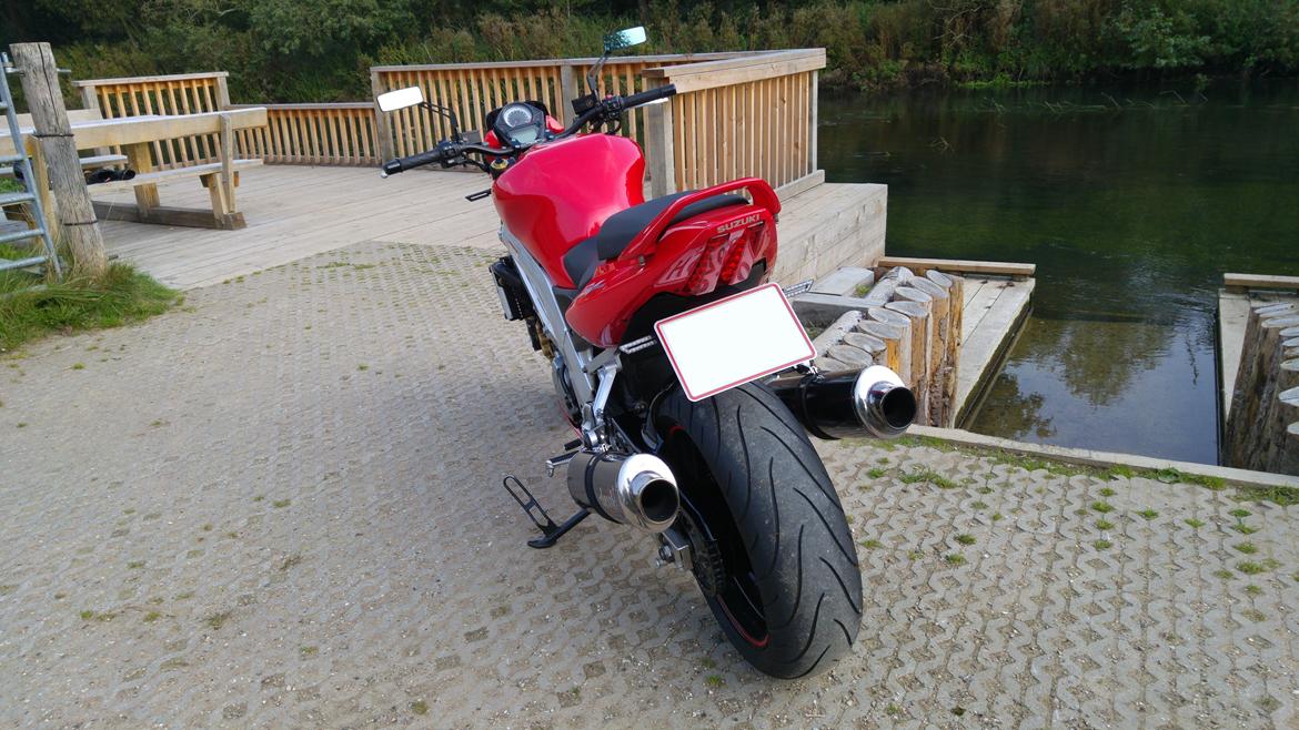 Suzuki SV 1000 billede 5