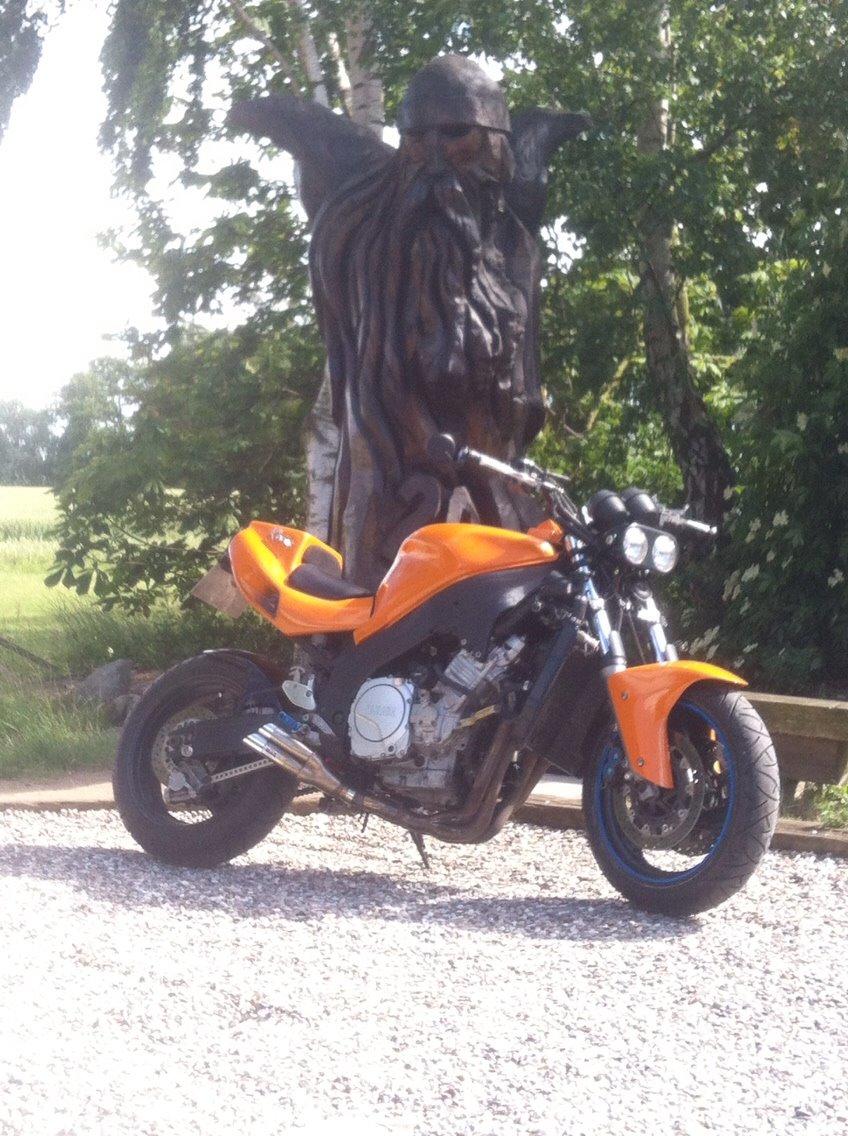 Yamaha Thunderace billede 8