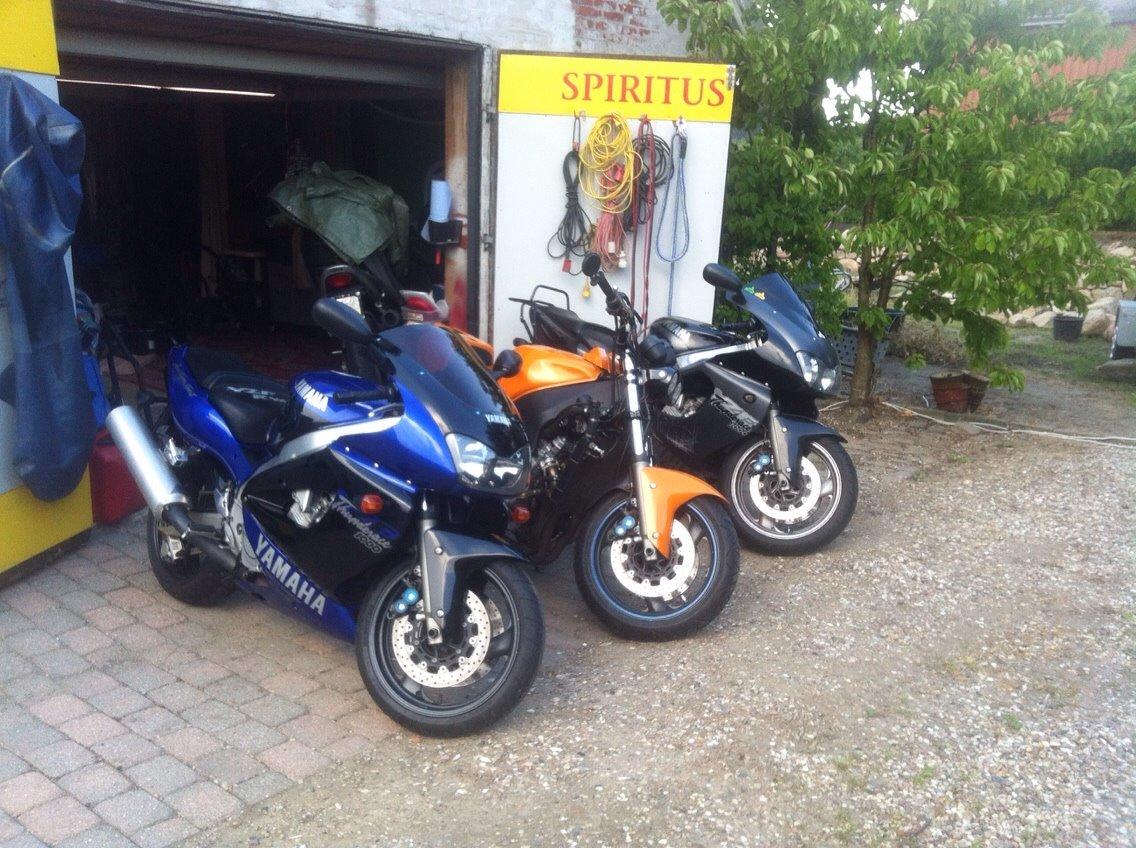 Yamaha Thunderace billede 13