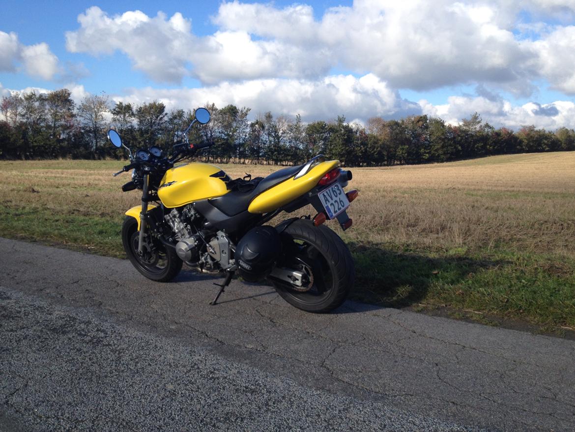 Honda CB600F Hornet  billede 7