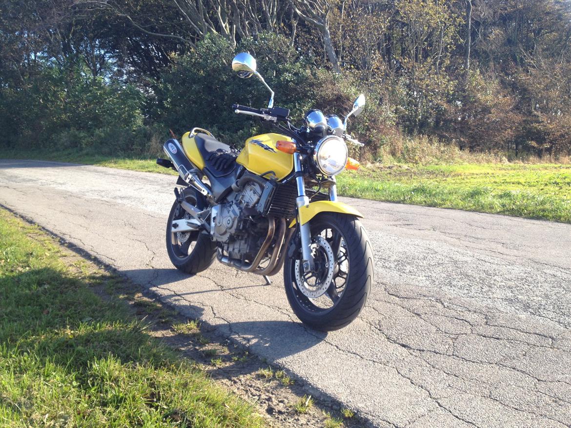 Honda CB600F Hornet  billede 11