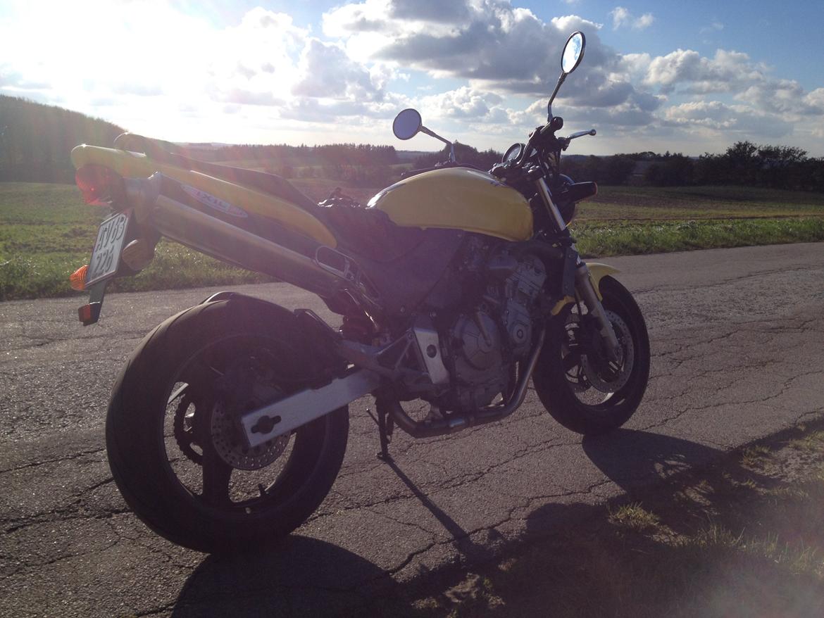 Honda CB600F Hornet  billede 13