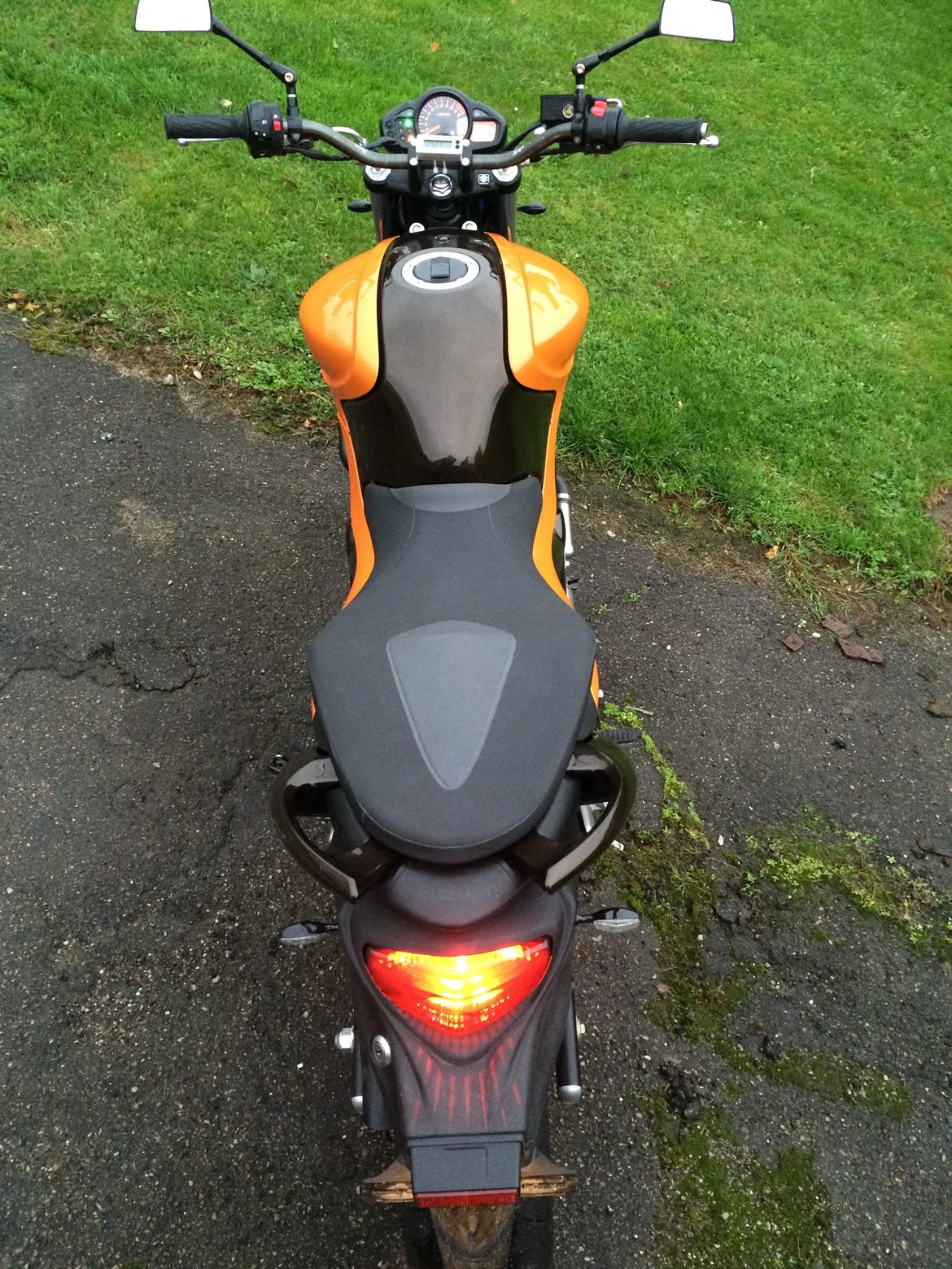 Suzuki SFV 650 Gladius billede 10