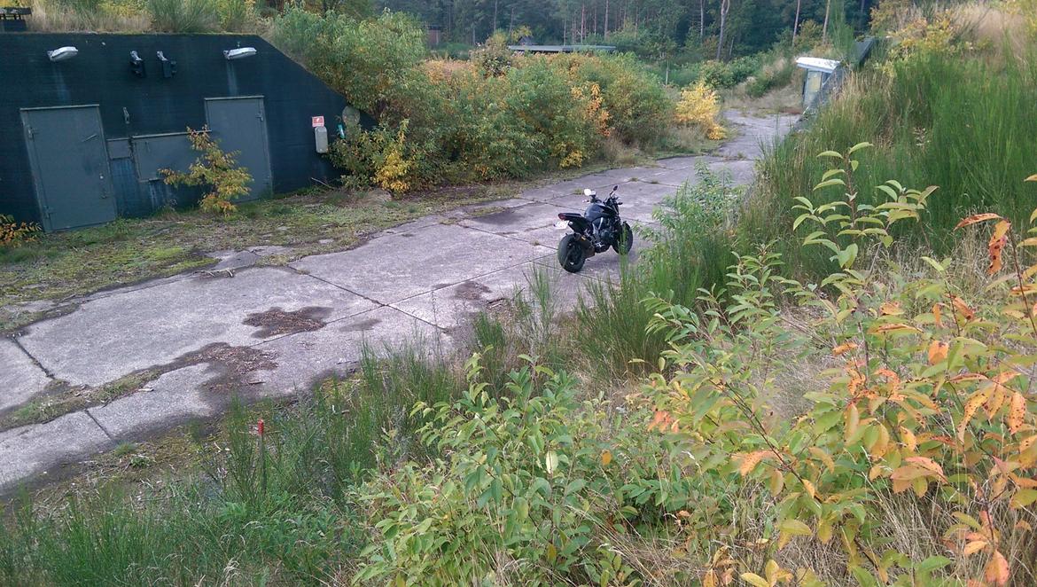 Honda CB 1000RA billede 17