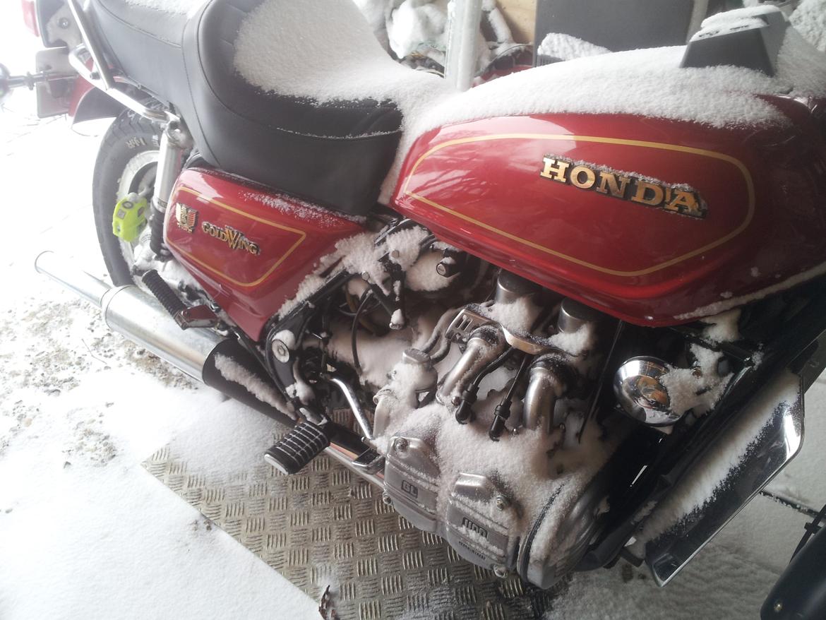 Honda goldwing  billede 9