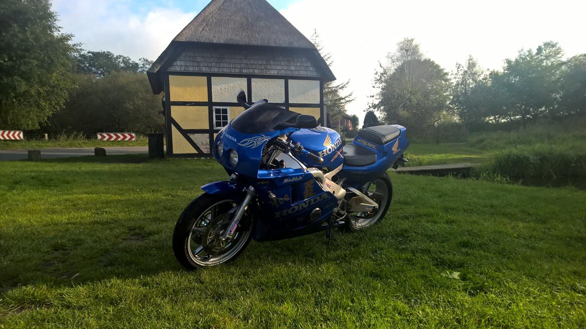 Honda cbr rr firerblade  billede 1