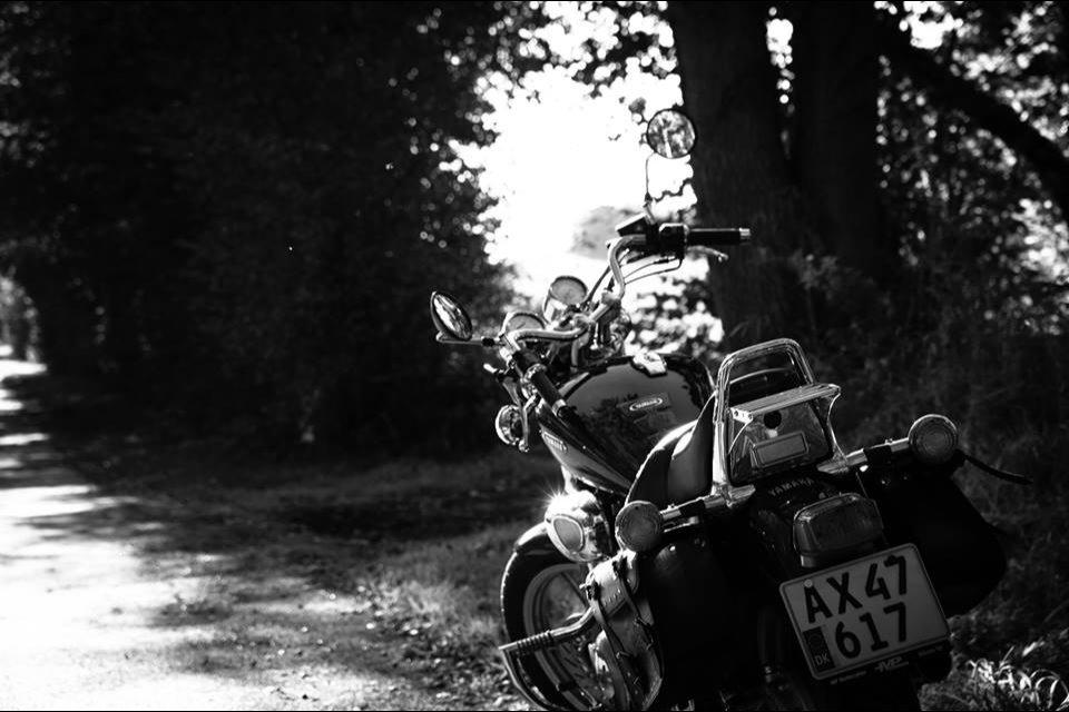 Yamaha XV 750 - Dejlig efterårsdag på cyklen og med kamera billede 1