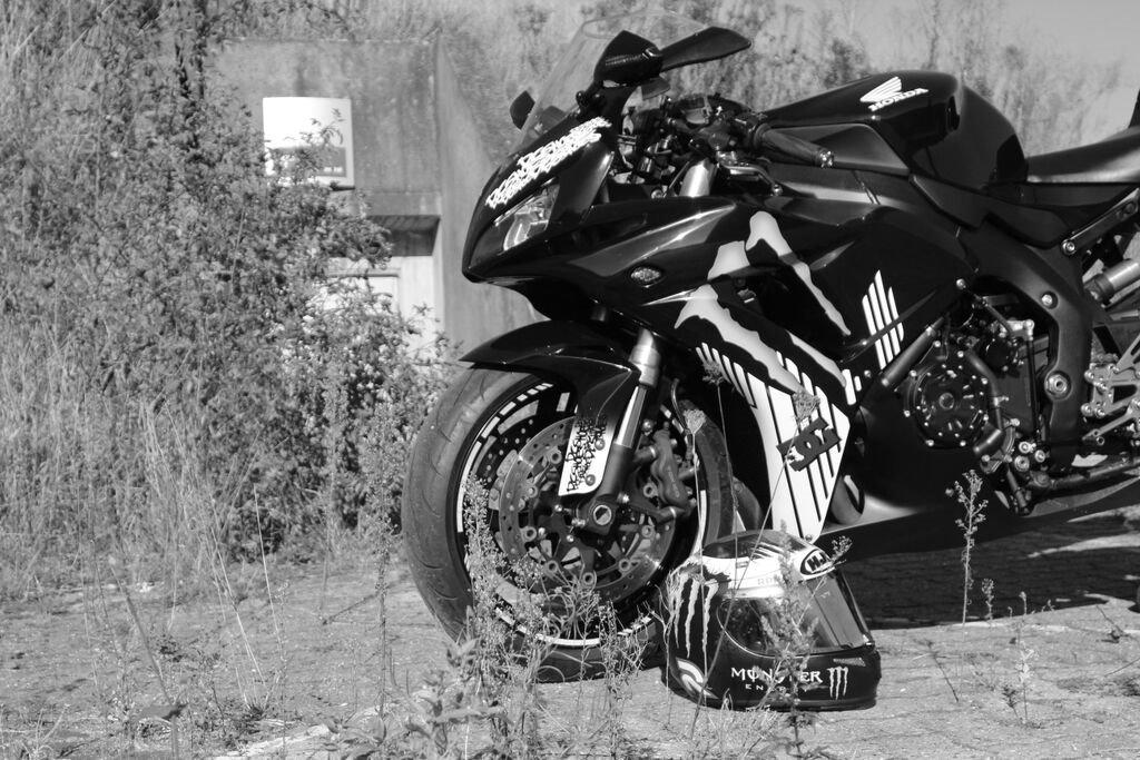 Honda CBR 1000 rr billede 10