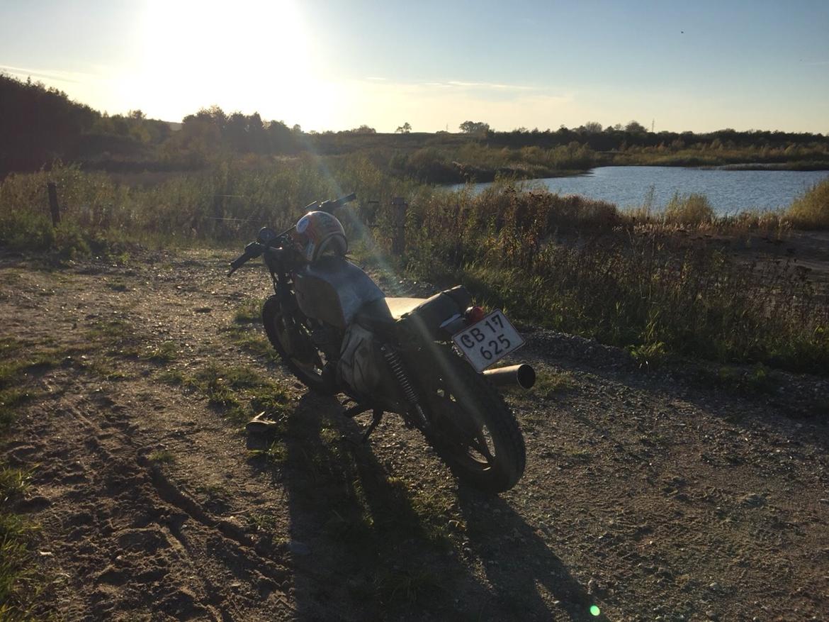 Suzuki GS 450 Scrambler billede 12