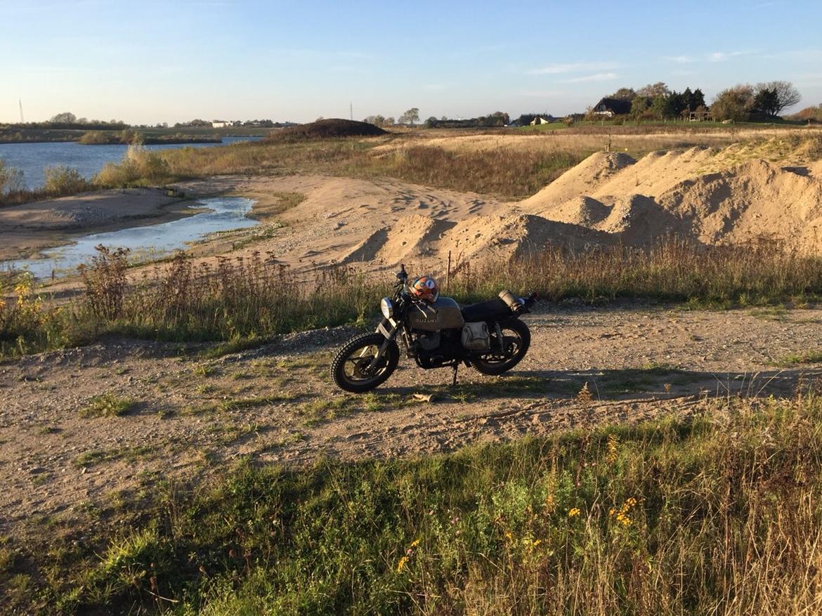 Suzuki GS 450 Scrambler billede 11